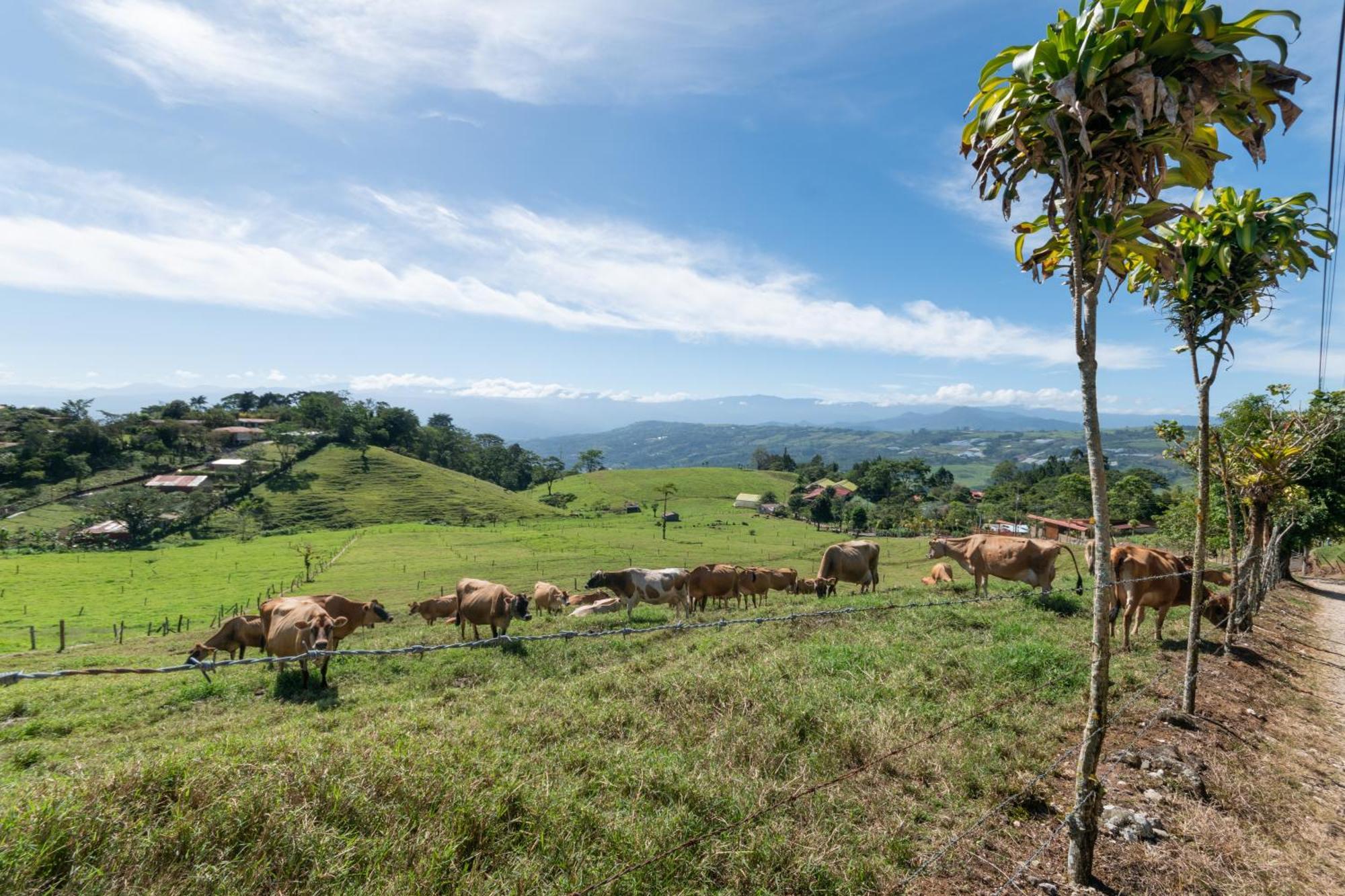 Vista Turrialba Lodge Exteriör bild