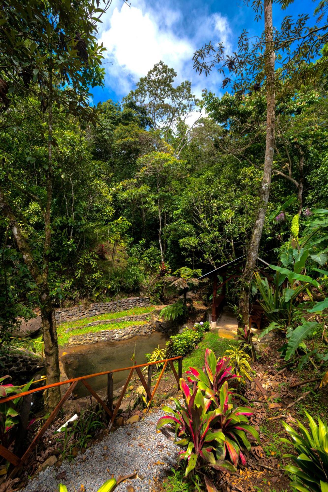 Vista Turrialba Lodge Exteriör bild