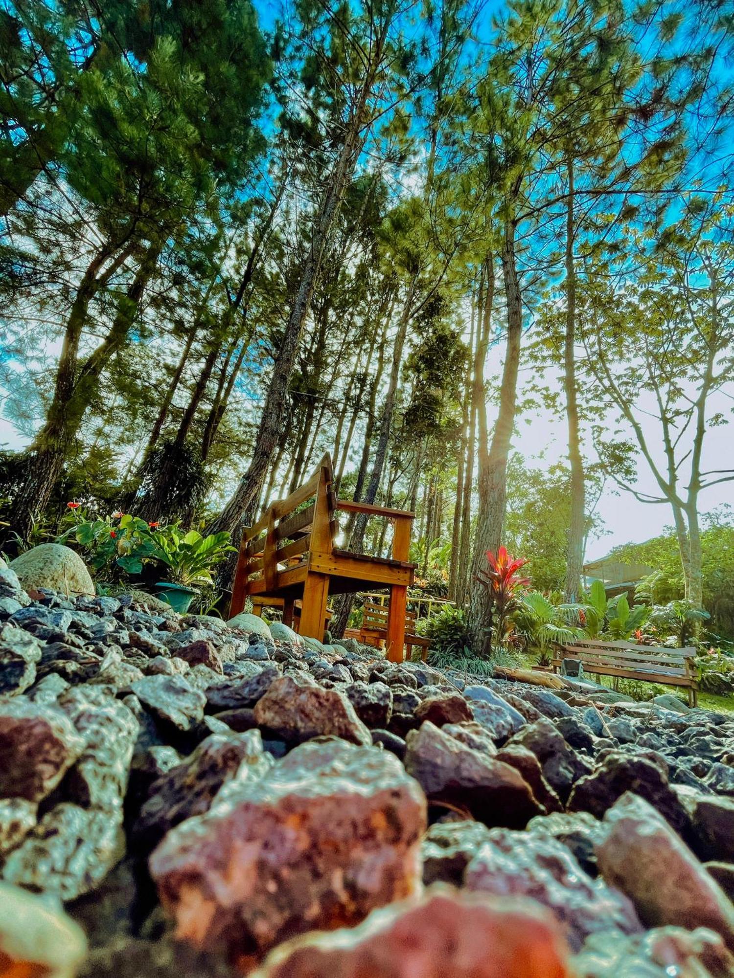 Vista Turrialba Lodge Exteriör bild