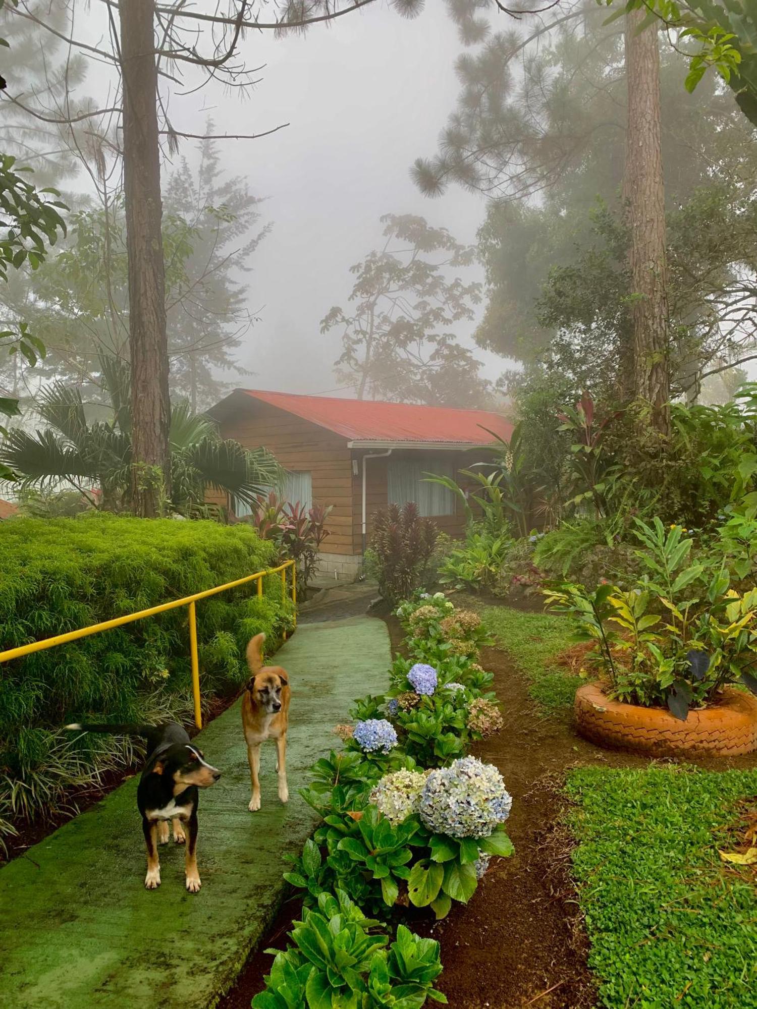 Vista Turrialba Lodge Exteriör bild